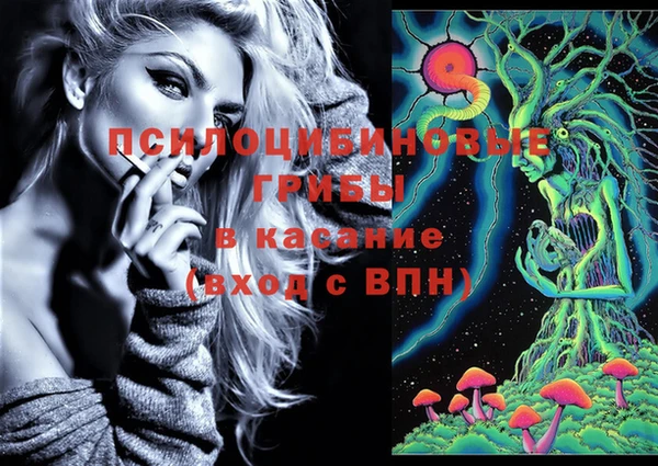 герыч Бронницы