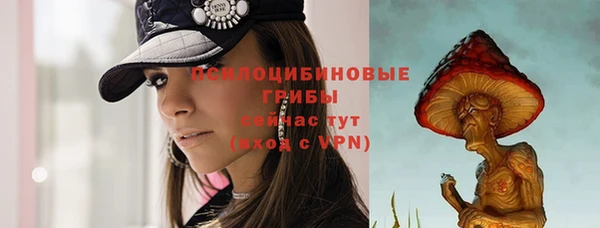 меф Бородино